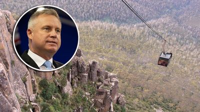 Tasmanian Premier Jeremy Rockliff encourages kunanyi/Mt Wellington cable car proponents to keep proposal alive