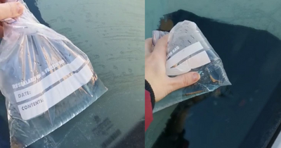 I tried a Tiktok frozen windscreen clearing hack and it didn't turn out exactly how I planned