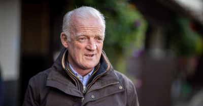 Willie Mullins-trained Cheltenham Festival winner sold for €200,000