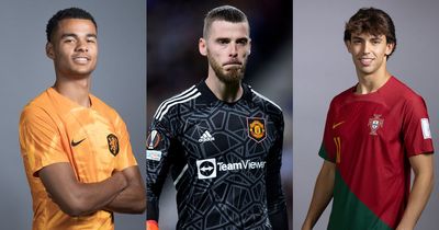 Manchester United's chances of signing Cody Gakpo, David de Gea's future and 2023 transfer plans