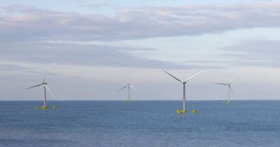 Claim over Scotland’s potential wind power 'was always inflated'
