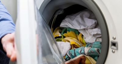 Scientist offers top laundry tips - including freezing clothes to help lift stains