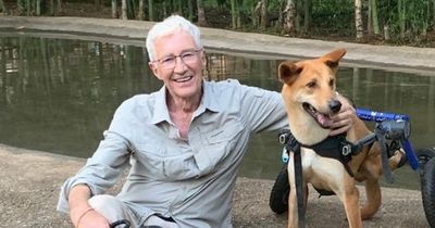 Paul O'Grady fans 'tear up' as ITV star shares update on injured dogs