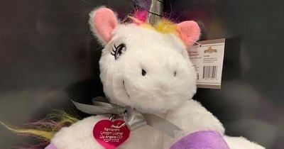 Girl granted special licence to own a unicorn by local authorities