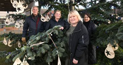 The valley community that's filled its village with Christmas cheer in memory of lost loved ones