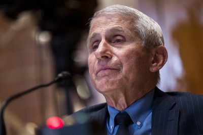 Fauci slams ‘lowlife’ trolls who harass and abuse his family. ‘It’s so cowardly'