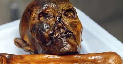 Curse of the frozen mummy and the gruesome deaths suffered by those who found him