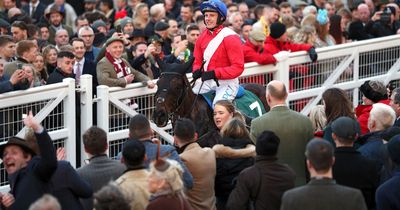Ferny Hollow to miss another Cheltenham Festival after tendon injury knocks him out for the season