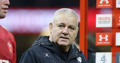 Warren Gatland revealed his blueprint for Welsh rugby after he left and called for regions to merge and end to tribalism