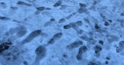 Elderly people and dog owners given walking warnings amid cold snap