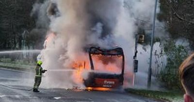 Witnesses describe bus 'bonfire' in Annesley which forced passengers into freezing cold