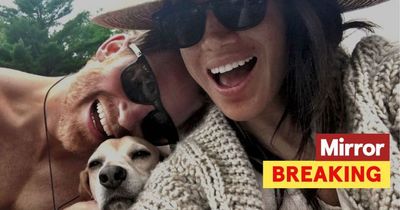 Meghan Markle and Harry's team forced to defend Netflix show in defiant new statement
