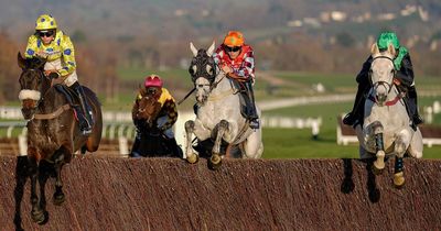 Saturday ITV Racing tips and Newsboy's 14-1 pick for December Gold Cup at Cheltenham