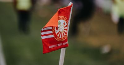 Portadown reveal their 'shock' at NIFL decision as they plan an appeal