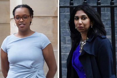 Home Office adviser on female violence to quit over Suella Braverman clash