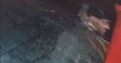 A 19-year-old woman was assaulted in a Swansea house and police want to speak to this man in connection with it