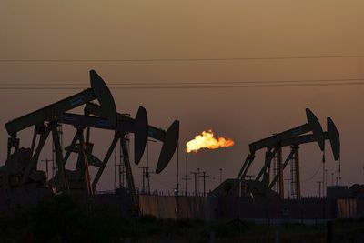 US panel accuses ‘Big Oil’ of disinformation over climate plans