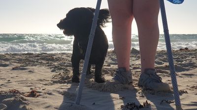 Holly Lane's sticks have carried her forward for 43 years. Now she's learning to walk without them