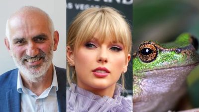 Songs of Disappearance, an album of frog calls, debuts at third behind Paul Kelly and Taylor Swift on the ARIA charts