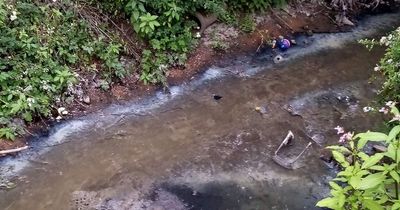 Water is a source of Scottish pride - don't let that source get polluted