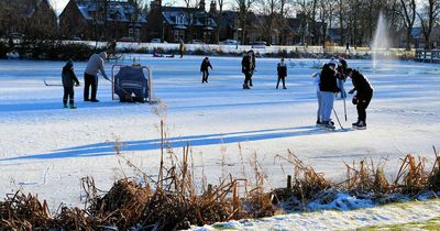 Dog falls through ice-covered pond at Ayrshire park as owner dives in to save pet