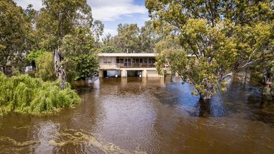 SA flood waters expected to peak at Morgan in early January as more homes inundated