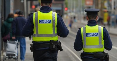 Over 49,000 domestic abuse reports received by gardai so far this year