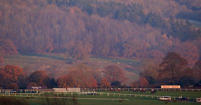 Horse racing meetings fall to cold weather as Cheltenham and Doncaster frozen off