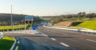 Woman dies after being hit by truck while crossing road in Cork as gardai issue statement