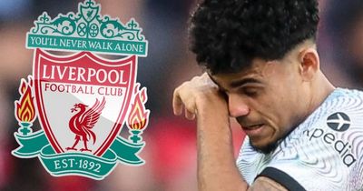 Luis Diaz injury latest as Liverpool braced for results of fresh knee problem