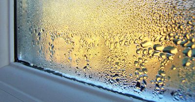 Renter shares £3 trick to help reduce condensation 'nightmare' on windows