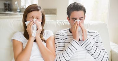 Experts finally tell why we get more colds in winter than in summer