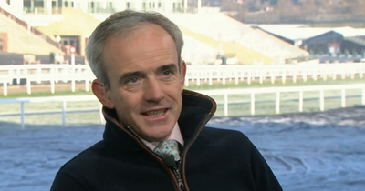Ruby Walsh's hilarious response when asked if he'll be supporting England against France