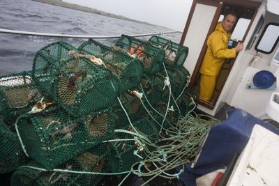 Scotland set for fisheries cash boost as North Sea quotas increase