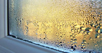 Reduce window condensation ‘nightmare’ with €3 trick many ‘had no idea existed’