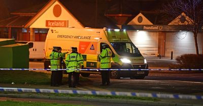 Schoolboy, 13, dies after being hit by car