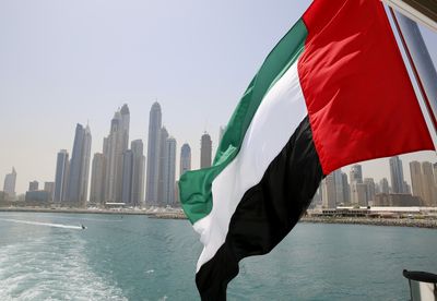 UAE official says European ties with Gulf 'should not be transactional'