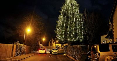 Household Christmas tree becomes Co Down town attraction after 30 years