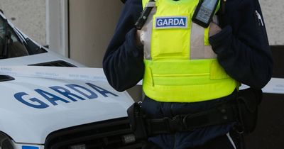 Body discovered in 'unexplained circumstances' in Co Meath