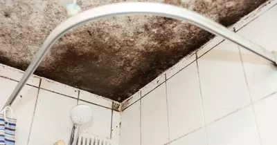 The reason mould grows in your home and how to get rid of it, according to damp expert
