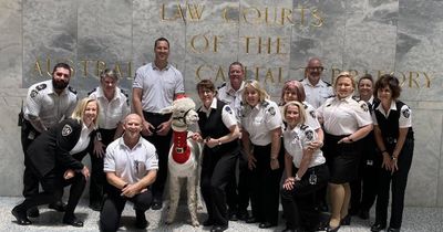 Hephner the alpaca courts the long neck of the law