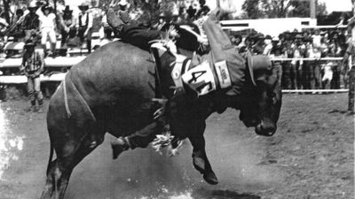First female bull rider in Australia Dianne Lucas was a trailblazer in rodeos