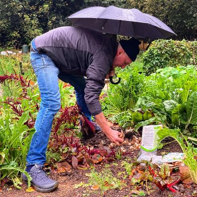 Planting bulbs for a future reward