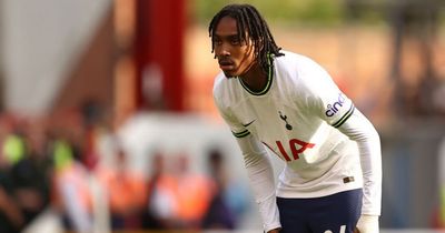 The five Tottenham players who benefited the most from Motherwell friendly win in front of Conte