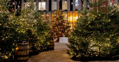 The enchanted Christmas forest tucked away in the city centre with hundreds of real trees and winter cocktails on tap