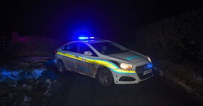 Garda probe as two bodies found 30km apart in Meath including one wrapped in carpet