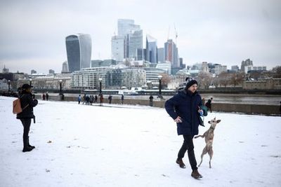 London weather: Travel chaos as capital blanketed by snow and freezing fog