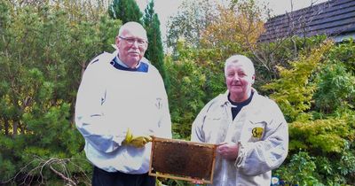 Lanarkshire beekeepers buzzing after £3k grant boosts production