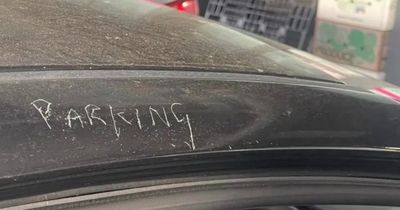 Woman's fury after finding 'no parking' SCRATCHED into car door in neighbour row