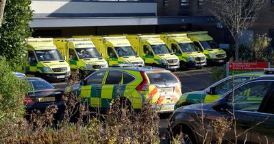 Welsh Ambulance Service goes to 'black alert' as staff unable to keep up with demand